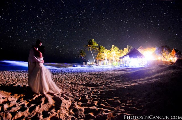 Professional Wedding Photographers